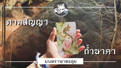 ตัวอย่างผลงานของอินฟลูเอนเซอร์
