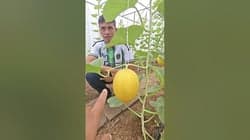 ตัวอย่างผลงานของอินฟลูเอนเซอร์