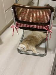 ตัวอย่างผลงานของอินฟลูเอนเซอร์