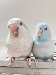 ตัวอย่างผลงานของอินฟลูเอนเซอร์