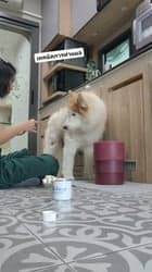 ตัวอย่างผลงานของอินฟลูเอนเซอร์