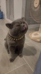 ตัวอย่างผลงานของอินฟลูเอนเซอร์