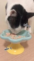 ตัวอย่างผลงานของอินฟลูเอนเซอร์