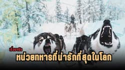 ตัวอย่างผลงานของอินฟลูเอนเซอร์