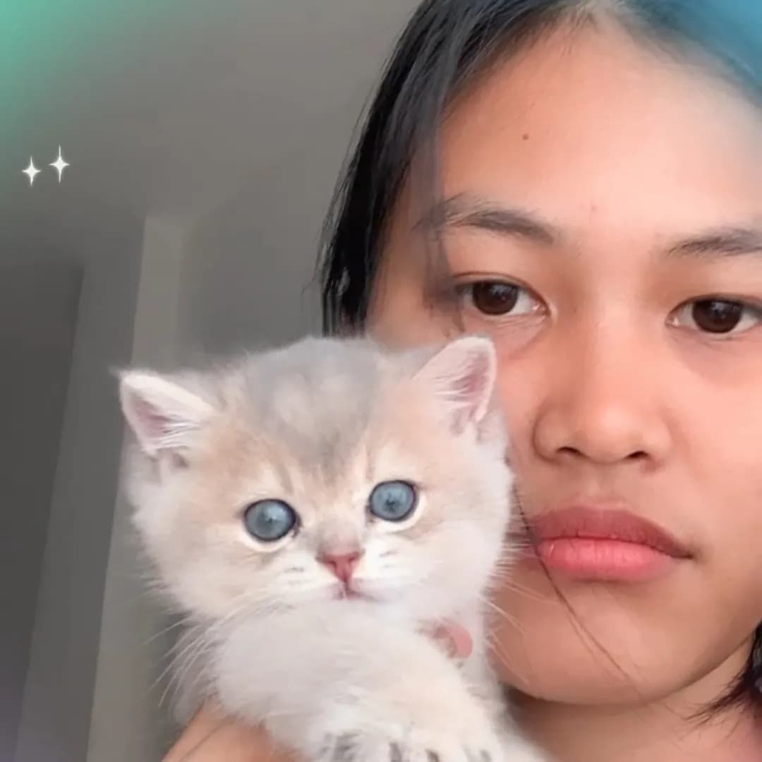 อินฟลูเอนเซอร์ TikTok ผู้ติดตาม 100K+