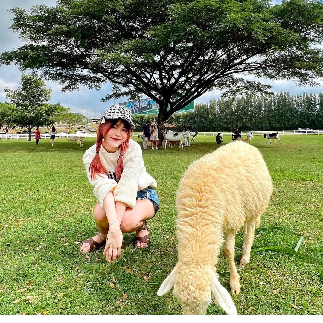 อินฟลูเอนเซอร์ TikTok ผู้ติดตาม 50K+