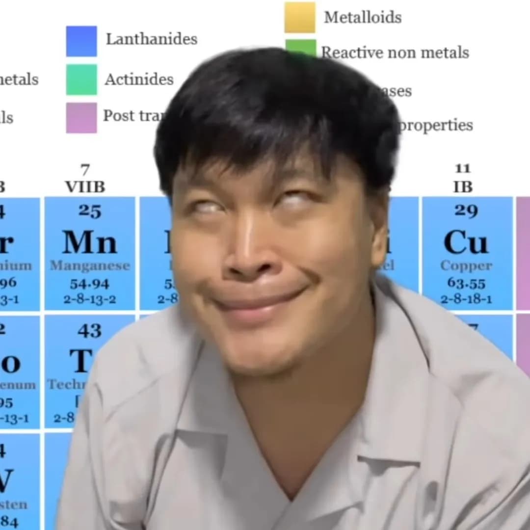 อินฟลูเอนเซอร์ TikTok ผู้ติดตาม 500K+