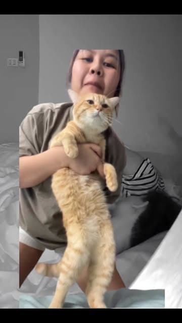 ตัวอย่างผลงานของอินฟลูเอนเซอร์
