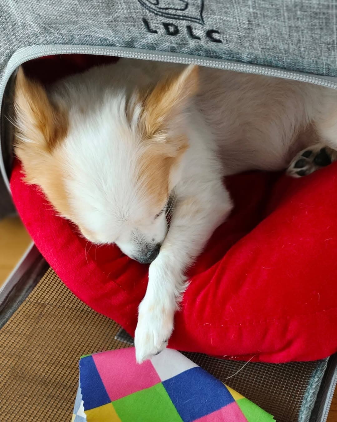 ตัวอย่างผลงานของอินฟลูเอนเซอร์