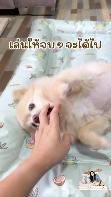 ตัวอย่างผลงานของอินฟลูเอนเซอร์