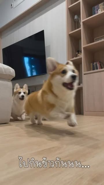 ตัวอย่างผลงานของอินฟลูเอนเซอร์