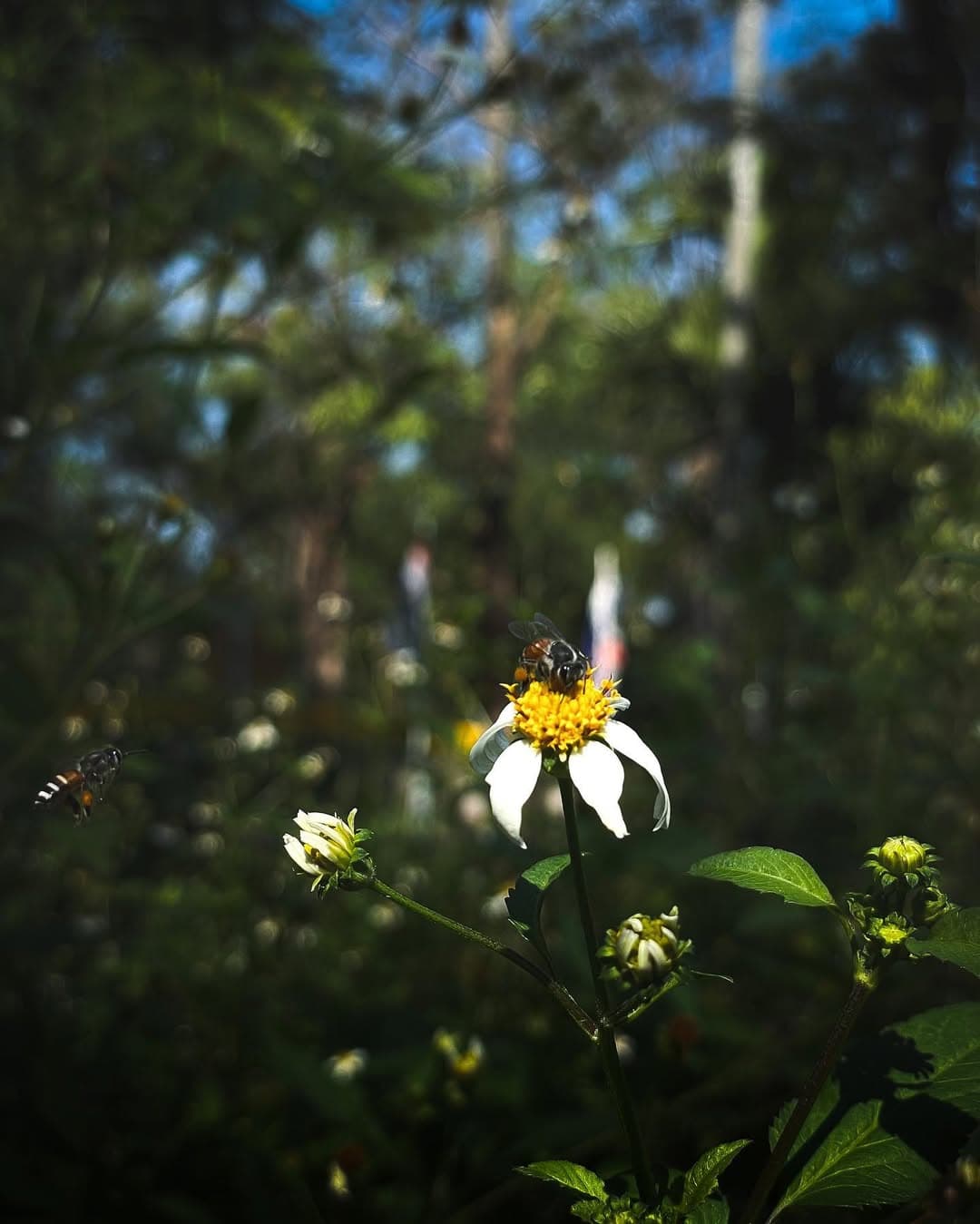 ตัวอย่างผลงานของอินฟลูเอนเซอร์