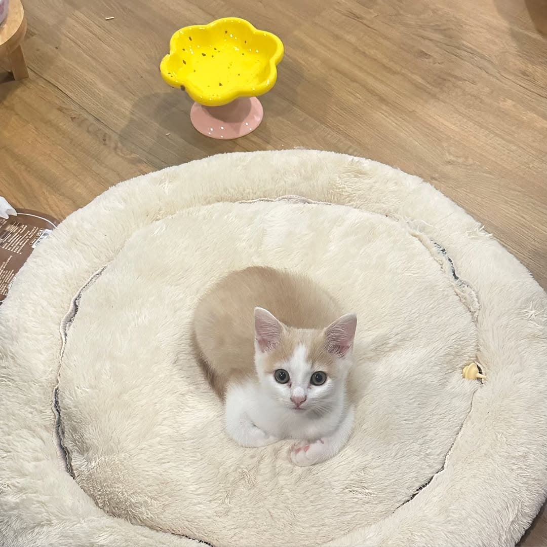 ตัวอย่างผลงานของอินฟลูเอนเซอร์