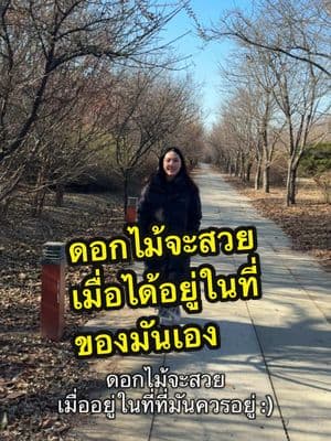 ตัวอย่างผลงานของอินฟลูเอนเซอร์