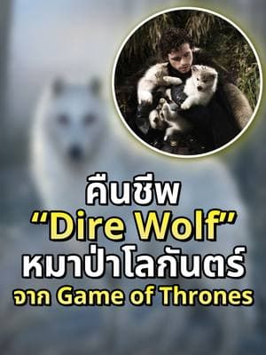 ตัวอย่างผลงานของอินฟลูเอนเซอร์