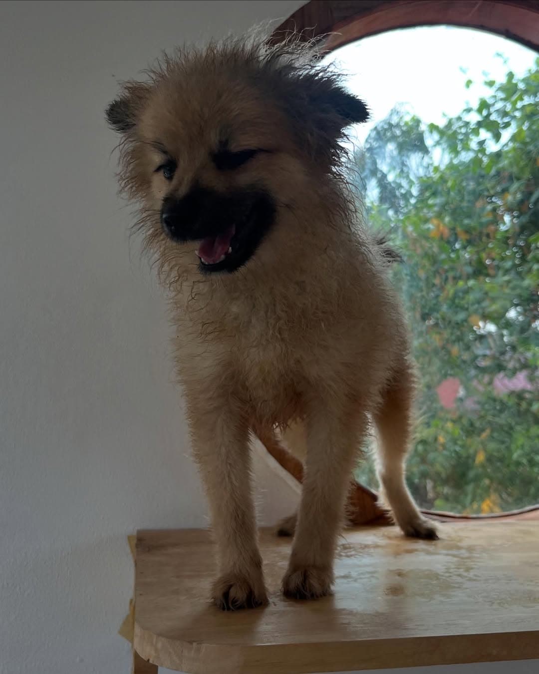 ตัวอย่างผลงานของอินฟลูเอนเซอร์