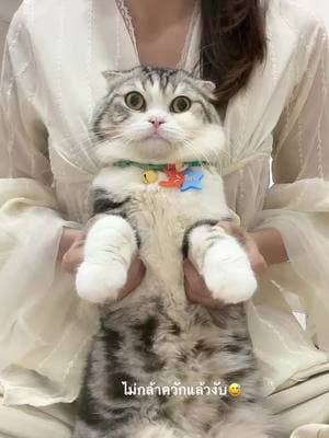 ตัวอย่างผลงานของอินฟลูเอนเซอร์