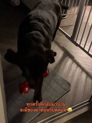 ตัวอย่างผลงานของอินฟลูเอนเซอร์