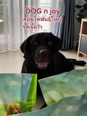 ตัวอย่างผลงานของอินฟลูเอนเซอร์