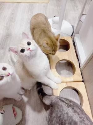 ตัวอย่างผลงานของอินฟลูเอนเซอร์