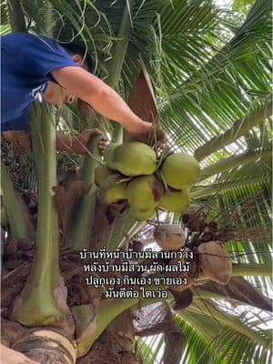 ตัวอย่างผลงานของอินฟลูเอนเซอร์