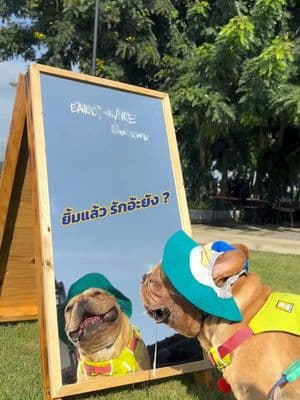 ตัวอย่างผลงานของอินฟลูเอนเซอร์