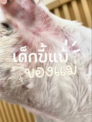 ตัวอย่างผลงานของอินฟลูเอนเซอร์