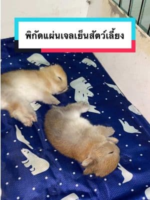 ตัวอย่างผลงานของอินฟลูเอนเซอร์