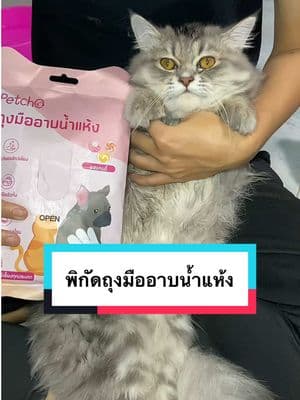 ตัวอย่างผลงานของอินฟลูเอนเซอร์
