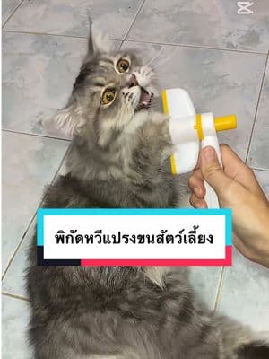 ตัวอย่างผลงานของอินฟลูเอนเซอร์