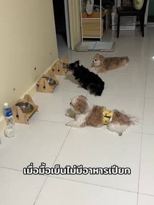 ตัวอย่างผลงานของอินฟลูเอนเซอร์