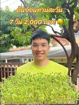 ตัวอย่างผลงานของอินฟลูเอนเซอร์