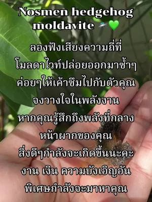 ตัวอย่างผลงานของอินฟลูเอนเซอร์