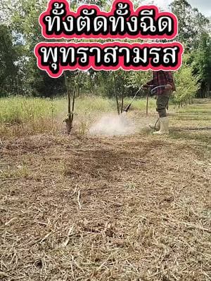 ตัวอย่างผลงานของอินฟลูเอนเซอร์