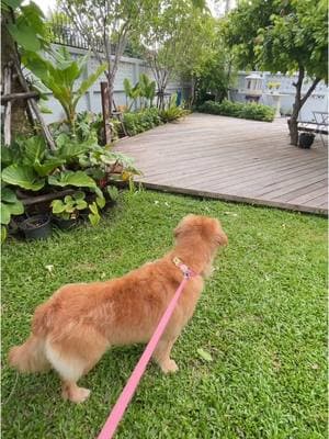 ตัวอย่างผลงานของอินฟลูเอนเซอร์