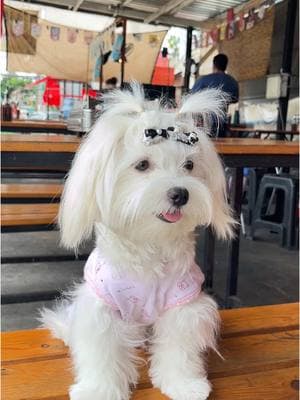 ตัวอย่างผลงานของอินฟลูเอนเซอร์