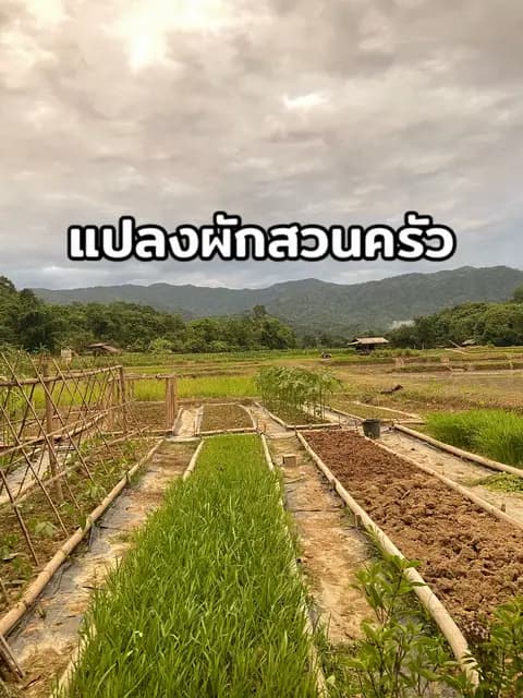 ตัวอย่างผลงานของอินฟลูเอนเซอร์