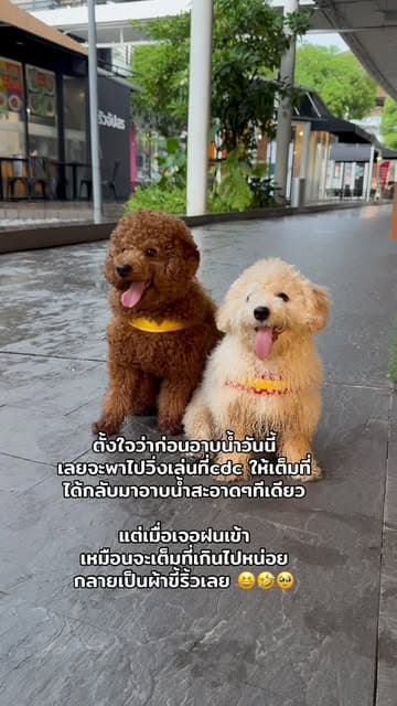 ตัวอย่างผลงานของอินฟลูเอนเซอร์