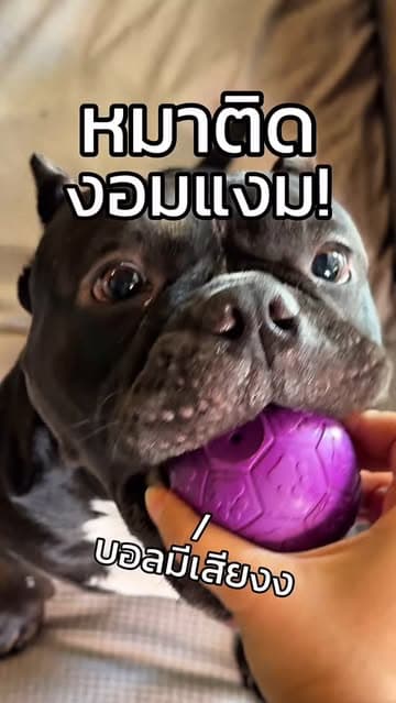 ตัวอย่างผลงานของอินฟลูเอนเซอร์
