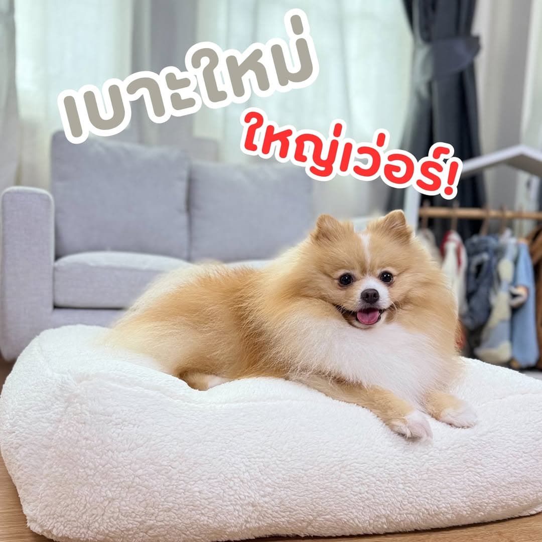 ตัวอย่างผลงานของอินฟลูเอนเซอร์
