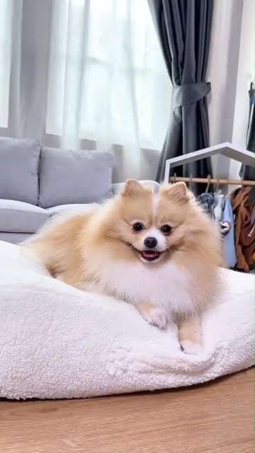 ตัวอย่างผลงานของอินฟลูเอนเซอร์