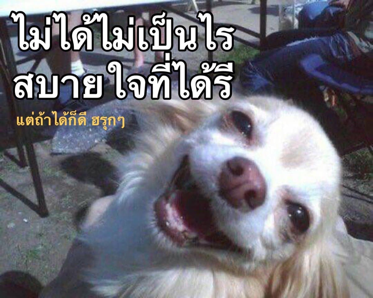 ตัวอย่างผลงานของอินฟลูเอนเซอร์