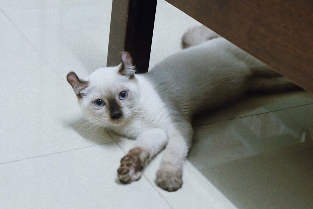 ตัวอย่างผลงานของอินฟลูเอนเซอร์