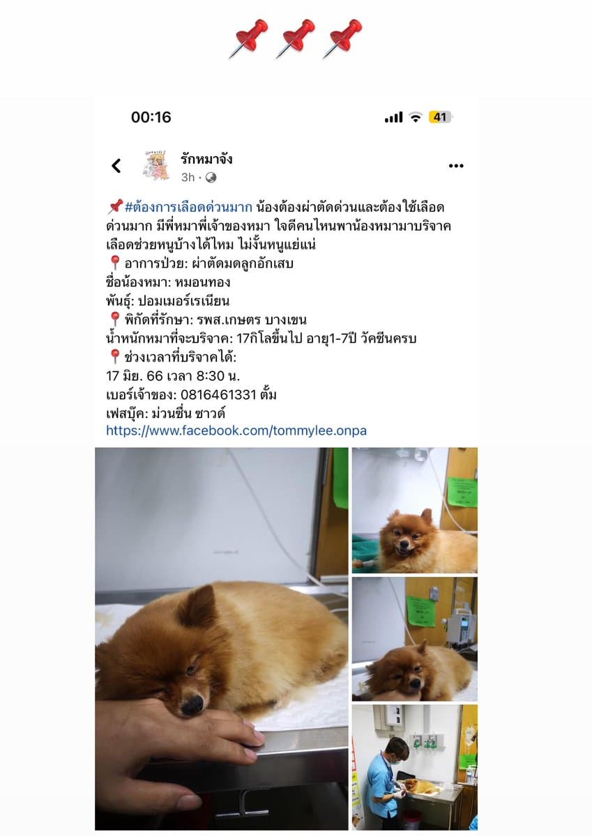 ตัวอย่างผลงานของอินฟลูเอนเซอร์