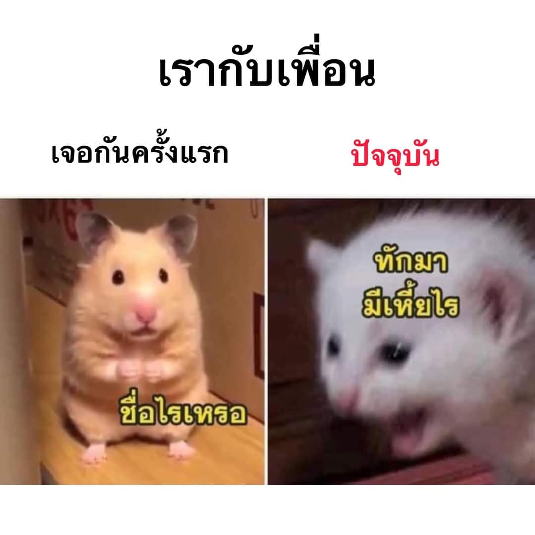 ตัวอย่างผลงานของอินฟลูเอนเซอร์