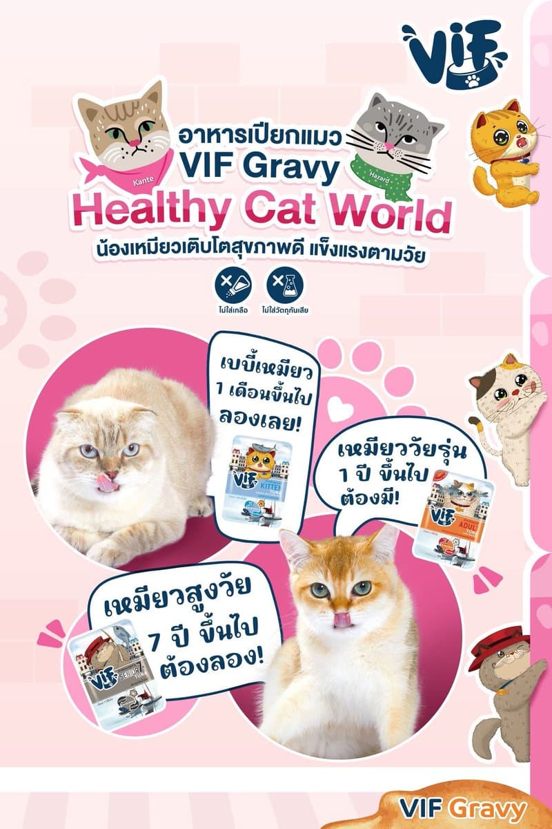 ตัวอย่างผลงานของอินฟลูเอนเซอร์