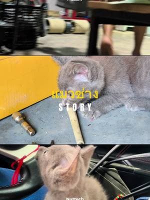 ตัวอย่างผลงานของอินฟลูเอนเซอร์