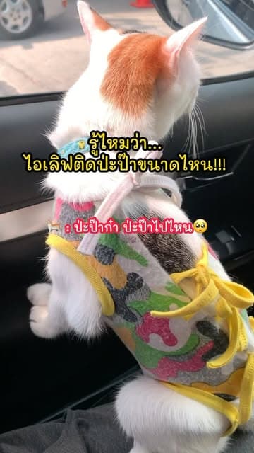 ตัวอย่างผลงานของอินฟลูเอนเซอร์