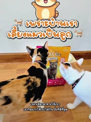 ตัวอย่างผลงานของอินฟลูเอนเซอร์