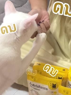 ตัวอย่างผลงานของอินฟลูเอนเซอร์